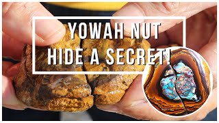 Yowah Nut hide a SECRET! | Opal Auctions
