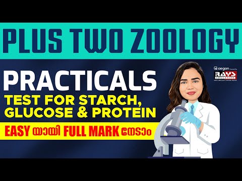 ZOOLOGY PRACTICALS | PLUS TWO BIOLOGY MODEL, PUBLIC EXAMS- TEST FOR STARCH, GLUCOSE & PROTEIN | RAYS