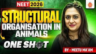 Structural Organisation in Animals One Shot