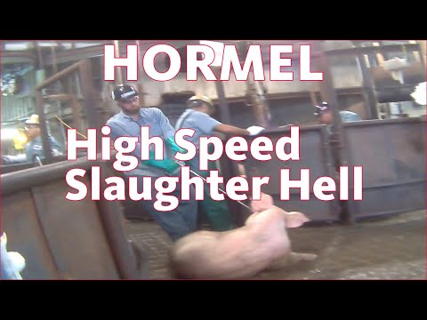 โรงฆ่าสัตว์