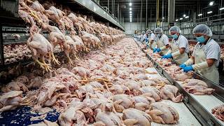 Escala Inacreditável 💥 Processando 203 Milhões de Frangos e Coletando Bilhões de Ovos Todos os Dias