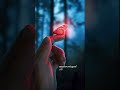Mulle Mazhaville Chollu Song Whatsapp Status