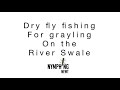 Dry fly fishing for autumn grayling on the river Swale North Yorkshire