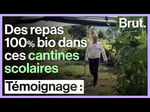 Ces cantines scolaires proposent des repas 100 % bio