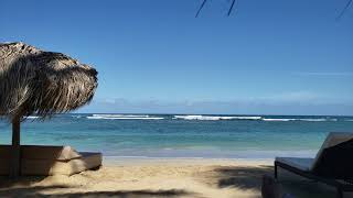 preview picture of video 'Beach Relaxation - Zoetry Punta Cana'