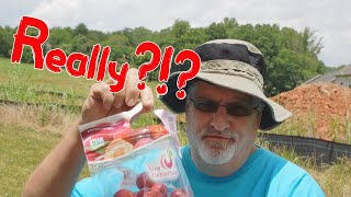 A Brand New Fruit???