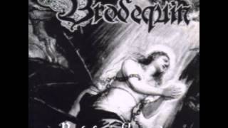 Brodequin - Verdrinken (Prelude To Execution EP version)