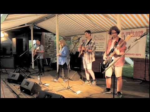 Grauschwanz - Obrázek - oblázek