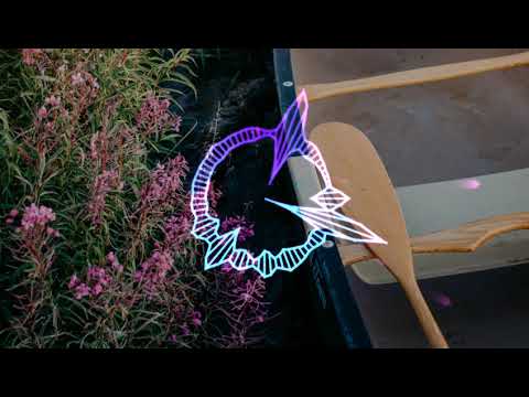 MOTi & Anisa - Lonely Nights