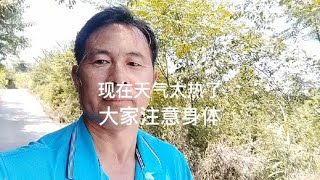 现在天太热了，大家注意身体