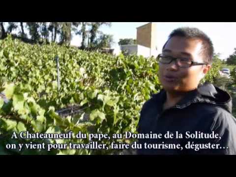 Interview de Shuai - vendanges 2011 au Domaine de la Solitude à Chateauneuf du Pape