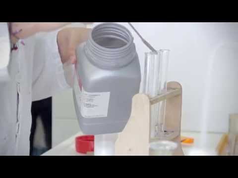 Das NaT-Lab für Schülerinnen und Schüler der Johannes Gutenberg-Universität Mainz