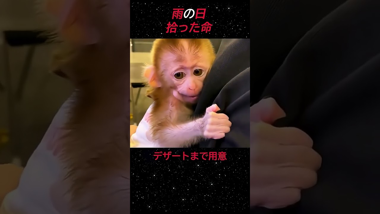 【SNSで話題】一命を取り留めた母犬と子犬のお話