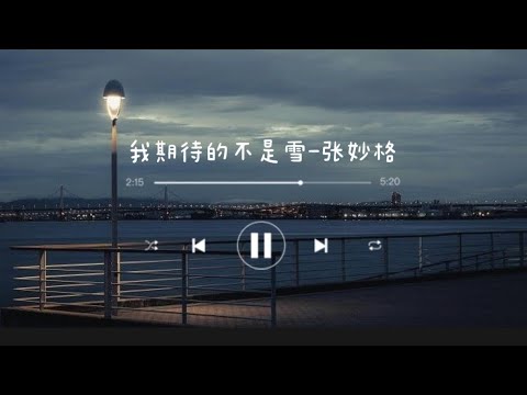 《我期待的不是雪》 - 张妙格 Zhang Miao Ge ｜chi/pin lyrics