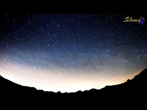 Sting - Shape of my heart (Royal & Saxophone)