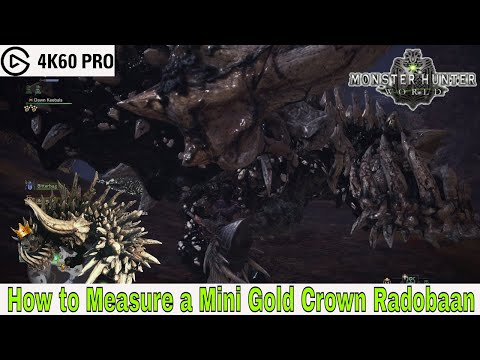 Monster Hunter: World - How to Measure a Mini Gold Crown Radobaan Video