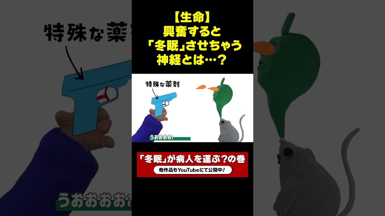 【生命】興奮すると「冬眠」させちゃう神経とは？ ＜「冬眠」が病人を運ぶ？の巻 ：これからヒーロー！＞#冬眠 #人工冬眠 #これからヒーロー #JST