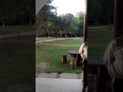 Cito tatarai frumoasa zona☺☺☺