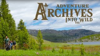 Into the Wild: A Legend of Zelda Tribute