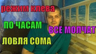 Время когда ловят сома на квок