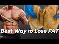 The Best Way To Lose Fat According To Anatomy The Science Of The Fat Burning Zone