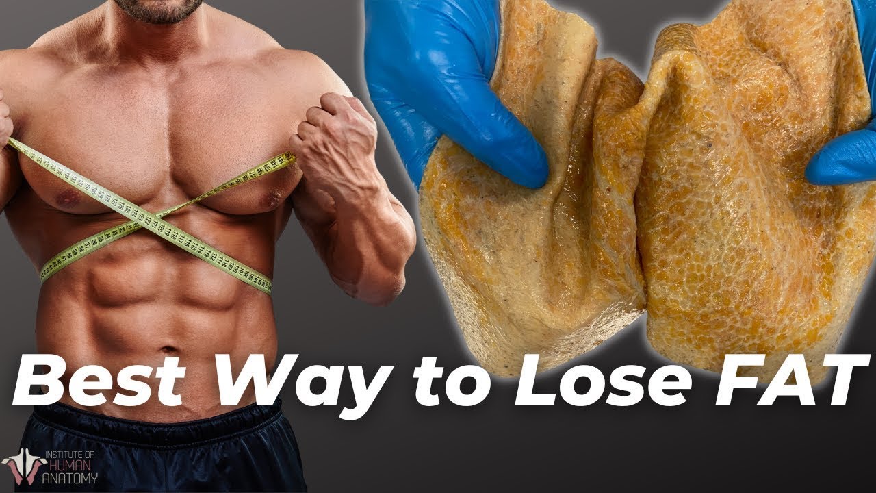 The Best Way to Lose Fat | The Science of the Fat Burning Zone