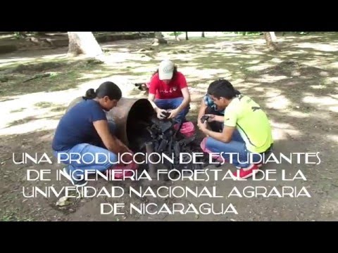 Kung paano mawalan ng 20 kg sa isang buwan review Pagbaba ng timbang ay mapanganib
