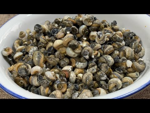 田螺要这样炒才最好吃，肉质鲜嫩Q弹，香辣过瘾，一上桌都抢着吃 【一画美食】