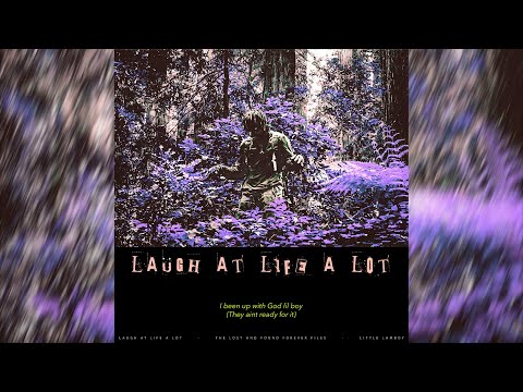 Laügh at Life a Lot (The Lost and Found Forever Files) by Little Lamboy