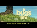 A Bug S Life LaserDisc Versus DVD Comparison