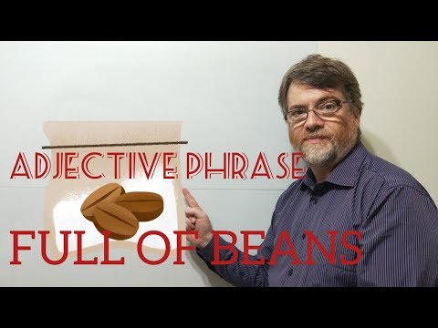 English Tutor Nick P Adjective Phrase (35) Full of Beans
