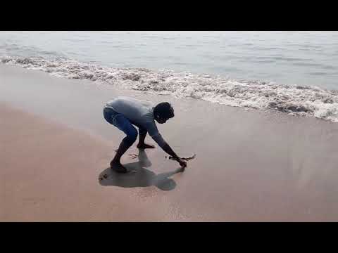 Satish in rock beach