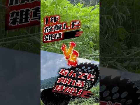 春の芝生の処理方法 一年の最初の芝刈りに肥料を与える時期