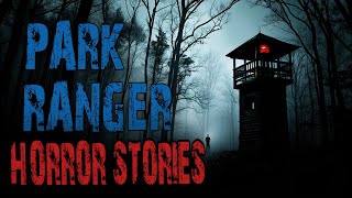 Scary Park Ranger Stories That Will Give You Chills | Forest Ranger, National Park, Missing Person
