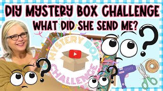 WHAT DID I MAKE WITH THESE ITEMS?! 📦 💞 Mystery Box Challenge ALL NEW FOR 2025!!