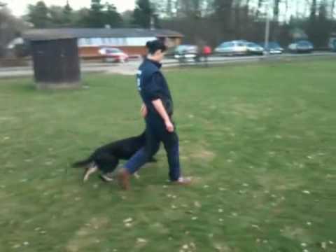 Corona von der Teufelskehle