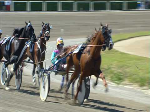 Trotto 30/04/2017 - 2ª corsa