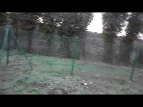 NUOVA AREA CANI A TAVERNE D'ARBIA