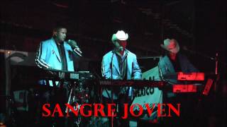 SANGRE JOVEN-domingo corrales