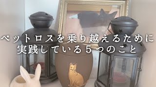 ペットロスを乗り越えるために。実践していること5つ。今苦しいあなたに届きますように。
