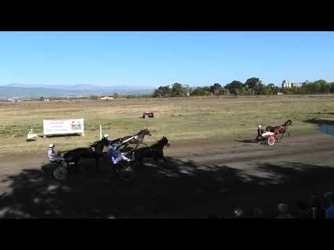 Trka "Faraon Stone" 11.10.2019 Cabernet V. - Miodrag Pantić