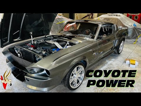 Mustang Fastback has Paint and Shelby wheels