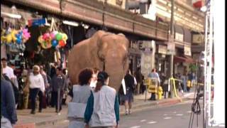 Mick Jagger-The Elephant Can&#39;t Hold It!- Visions Of Paradise