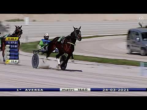 Aversa trotto 24 Marzo 2021 - 1° Corsa