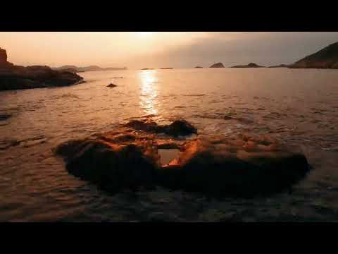 Forzisimo | Relaxing music