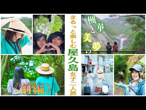 カモメは密かに私たちを監視しています - それは生き残りにかかっています