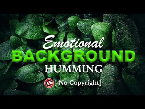 Emotional Humming By Tanjim Reza_ হৃদয়ে শিহরন জাগানো সুর_NoCopyright_Free Backing Music_2021