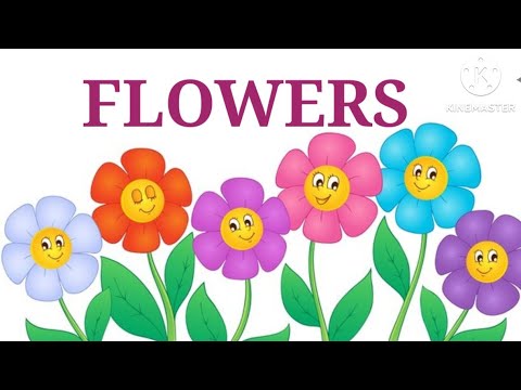 FLOWERS NAME/FRUIT AND VEGETABLES NAME