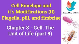 FLAGELLA, PILI, AND FIMBRIAE/Cell Envelope and its modifications (II)/ Cell:The unit of life(part 8)
