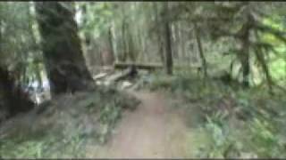 preview picture of video 'McKenzie River Trail, OR - July, 2008'
